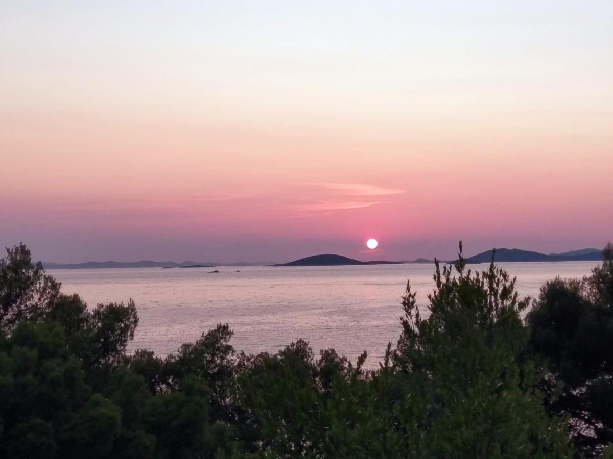 Amazing Villa Galeb In Murter Exterior photo